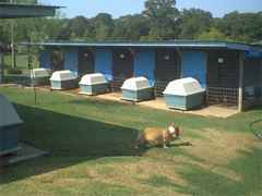 kennels1.jpg