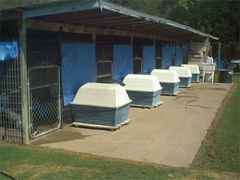 kennels2.jpg